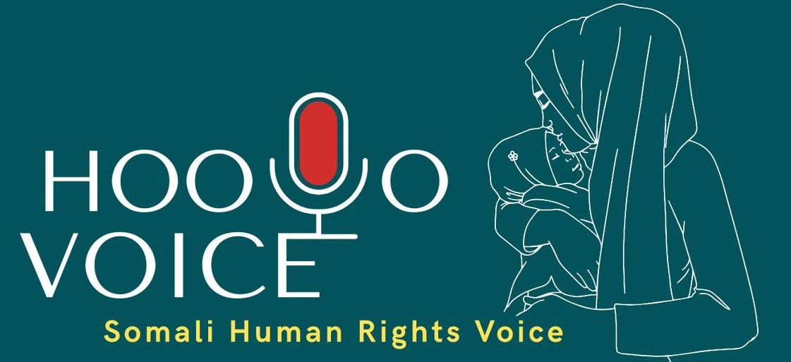 hooyovoice.com